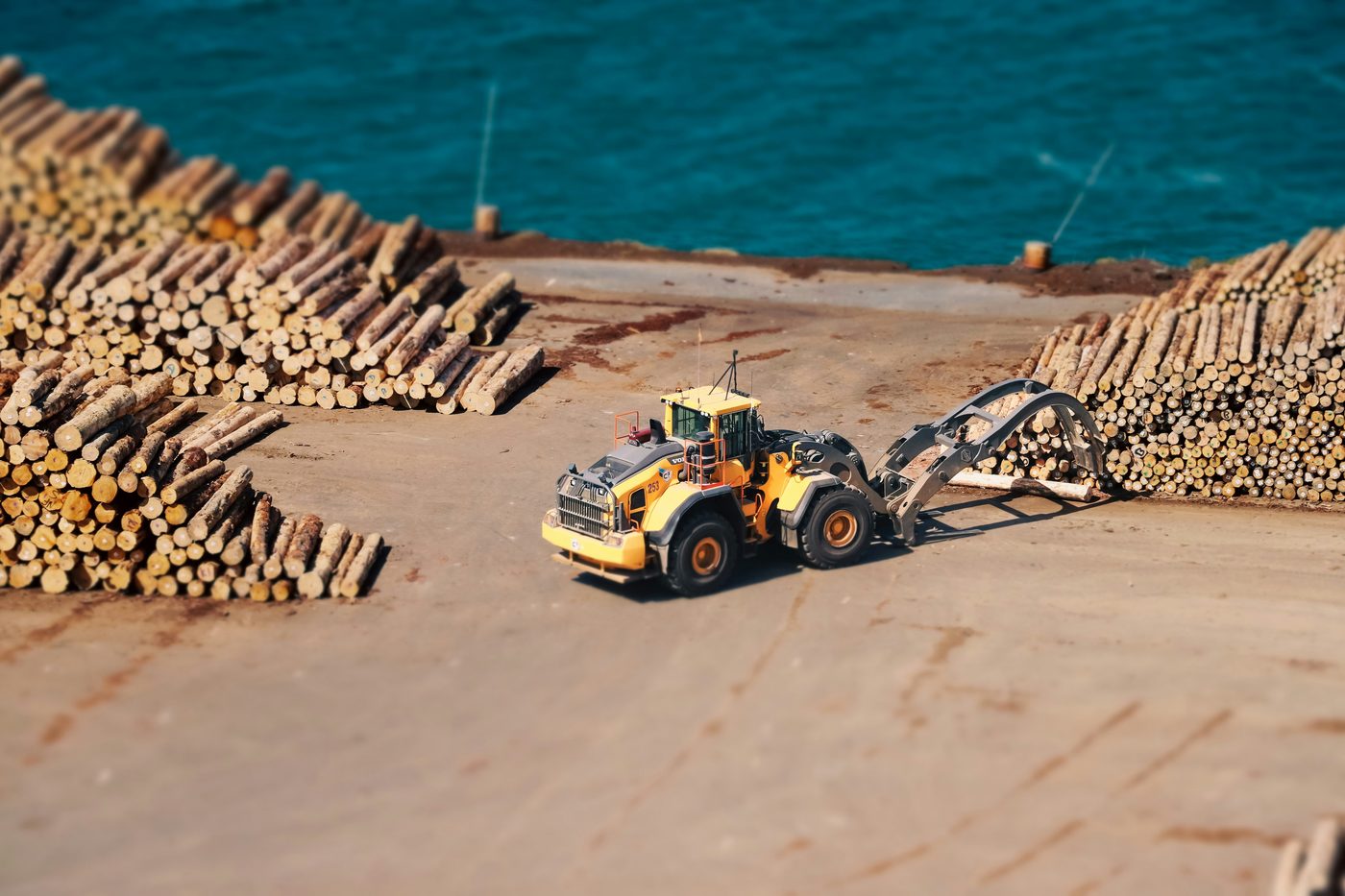 Pacific log sort yard — contextual visual for sector consolidation story