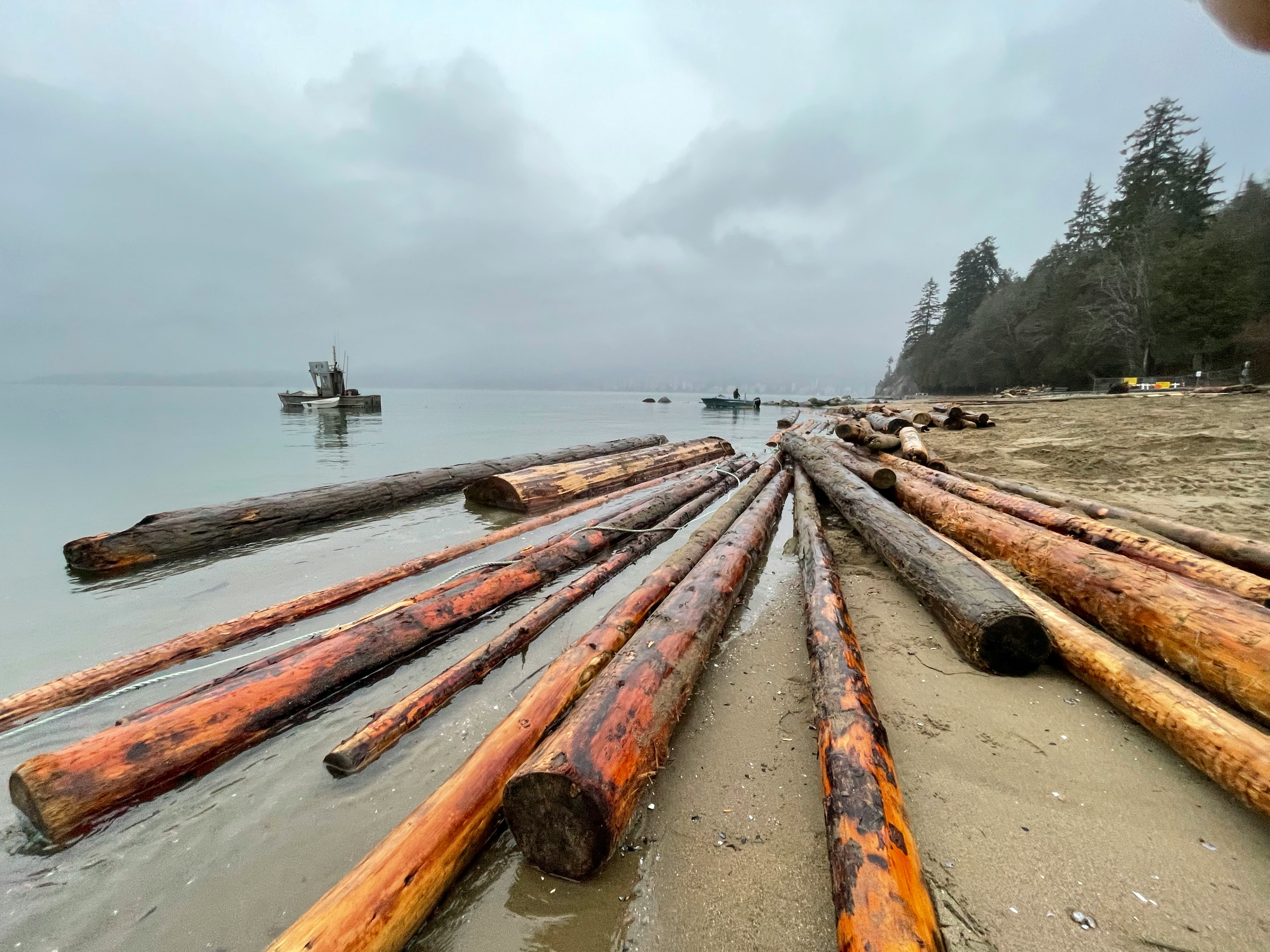 BC coastal forest — visual context for the BC Wildfire Service summer fire-activity outlook